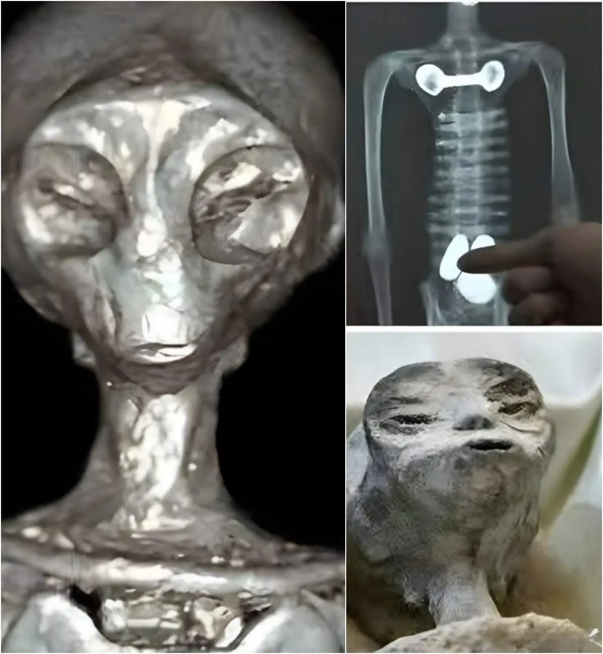 Cover Image for 🚨 Le mummie peruviane NON sono una bufala… Sono la verità che hanno cercato di nascondere. Le prove del DNA sono devastanti e ci costringono a riscrivere la storia che ci è stata raccontata.