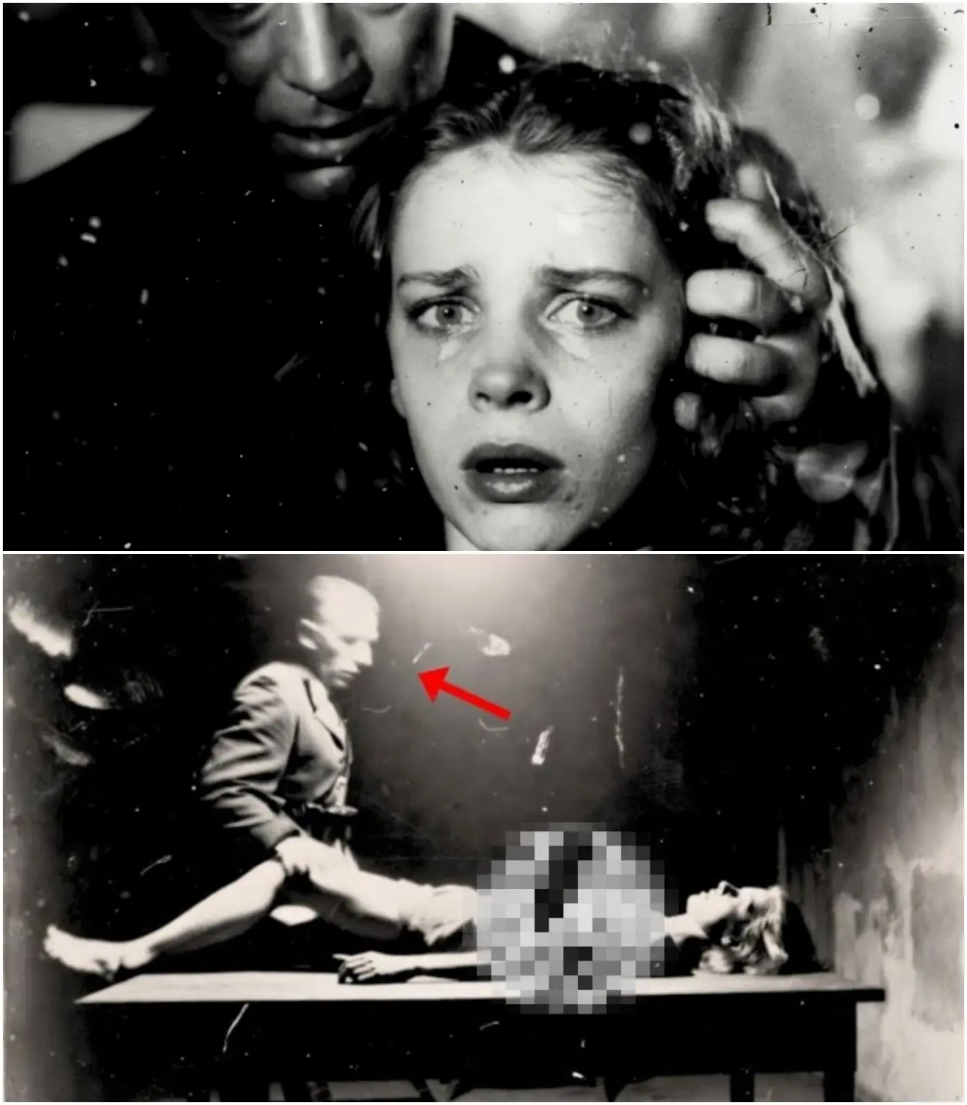 Cover Image for âVuoi vivere?â â Il terrificante ultimatum dato da un comandante tedesco a una giovane francese.