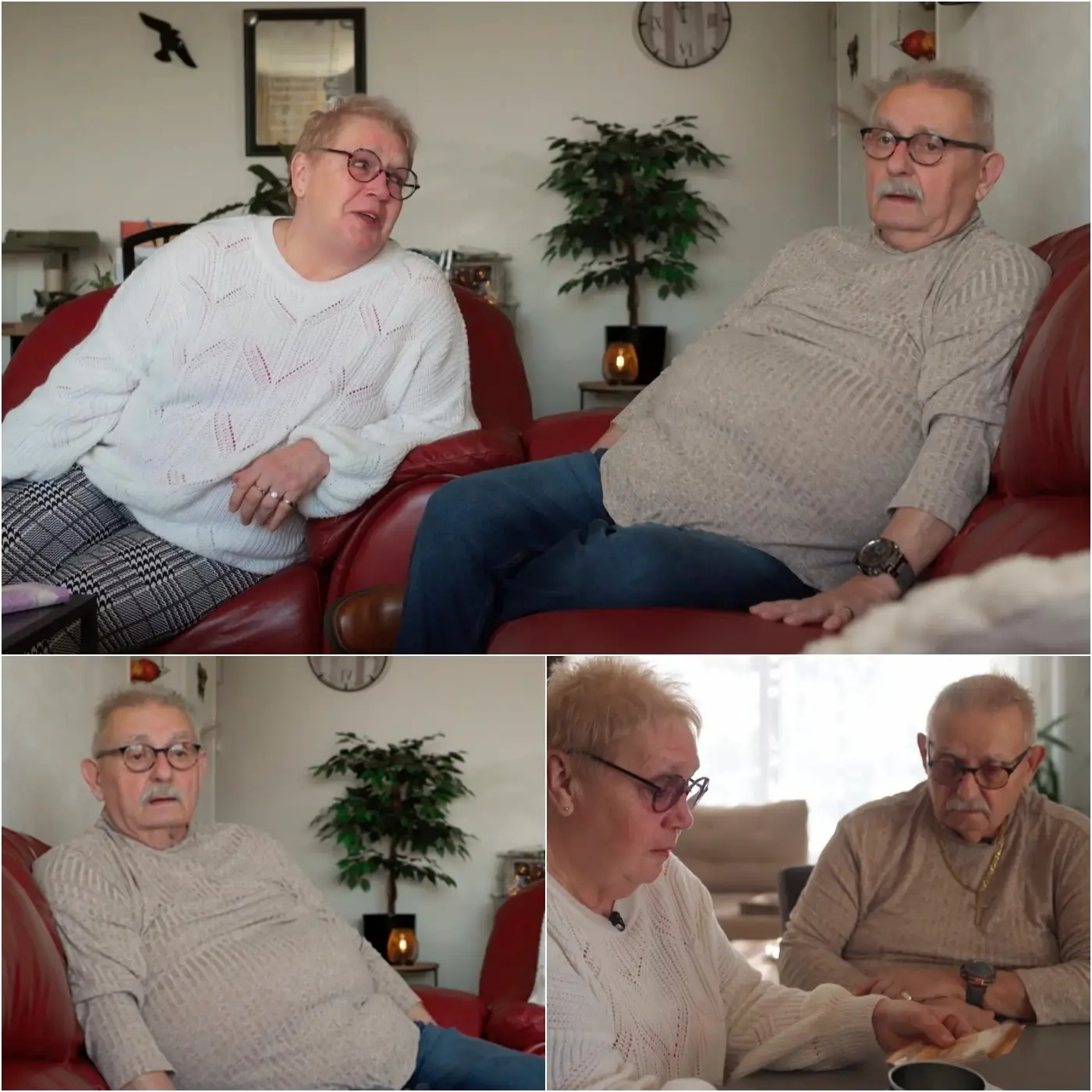 Cover Image for 💥 SCHOKT HET PUBLIEK: Een arm gezin dat verscheen in het programma Steenrijk, Straatarm heeft kijkers volledig verbaasd achtergelaten toen hun verhaal werd onthuld — vooral door het bedrag van hun staatspensioen 💸 Lees meer in de reacties 👇