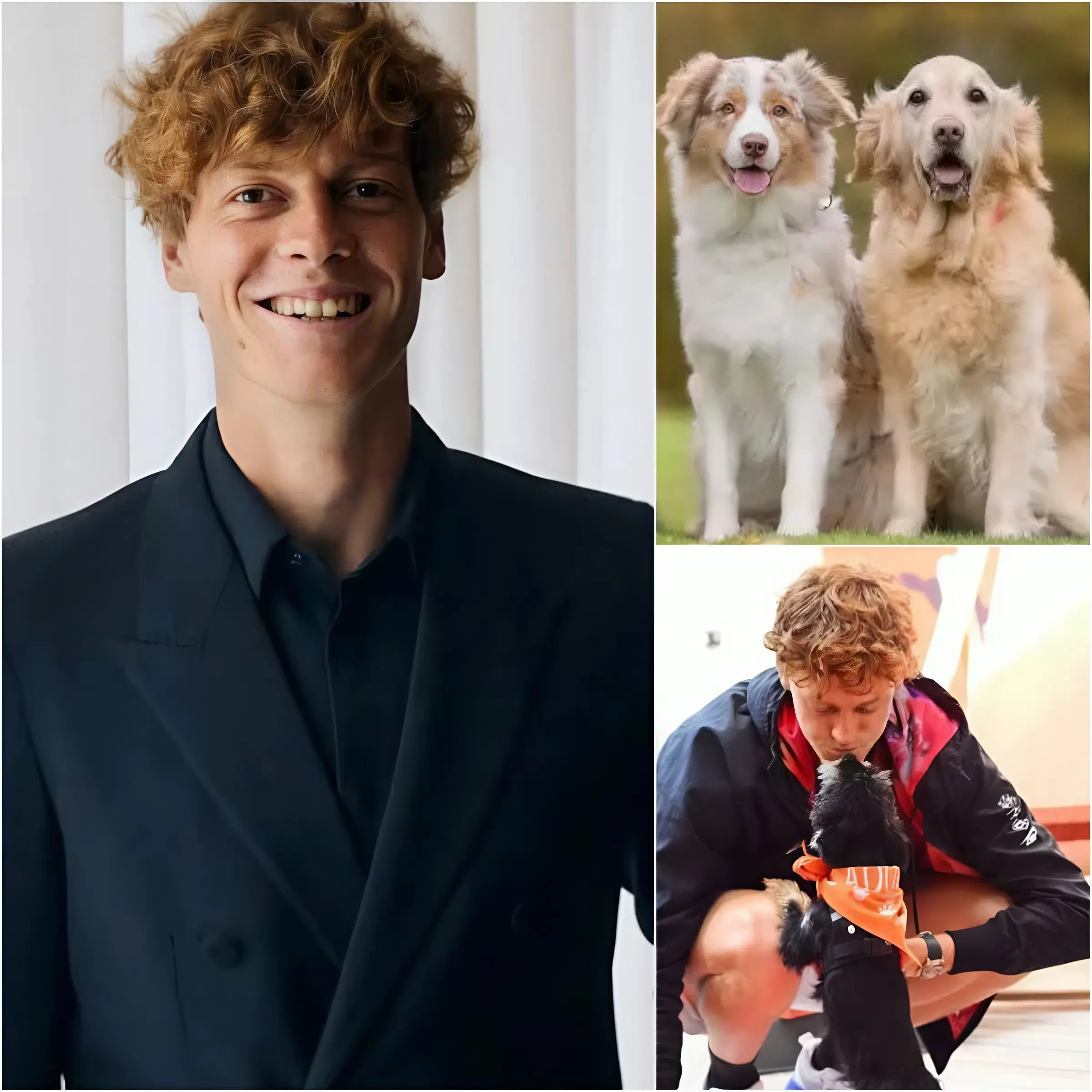 Cover Image for 🚨 SHOCKING WORLD NEWS: Jannik Sinner has stunned the tennis world by secretly donating half of his enormous prize money to build a state-of-the-art shelter for homeless dogs in Europe. But what moved millions of people was not the donation itself—it was his heartfelt words about a dog that had helped save him during the darkest period of his life.